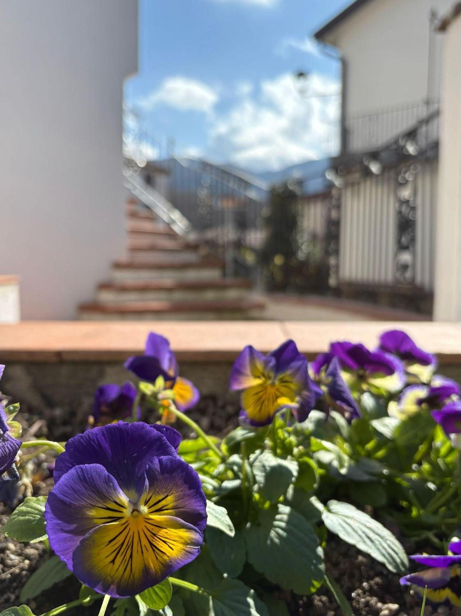 Albori Apartment San Severino Lucano Exterior photo